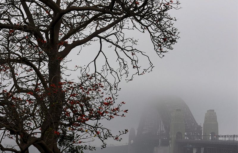 Niebla en Sidney