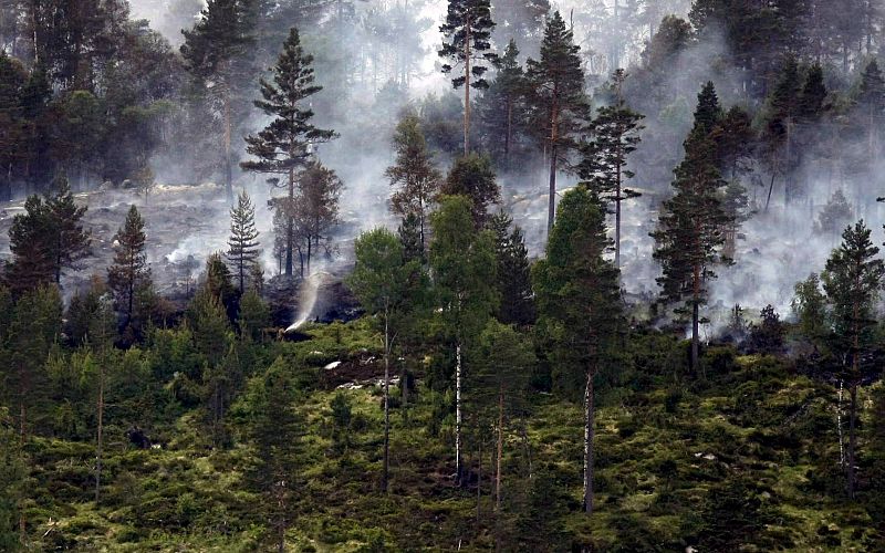 Incendio forestal en Noruega