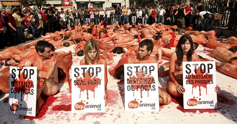 PROTESTA MATANZA FOCAS