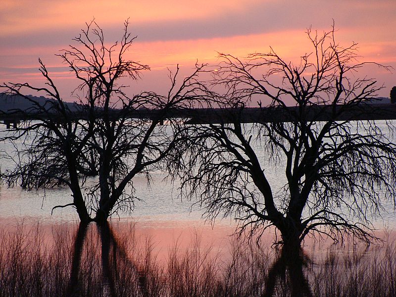 Embalse de la Cabezuela, en Valdepeñas (Ciudad Real). 26/03/2009