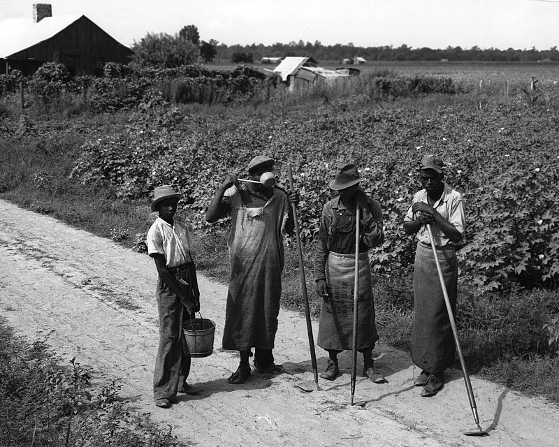 Dorothea Lange