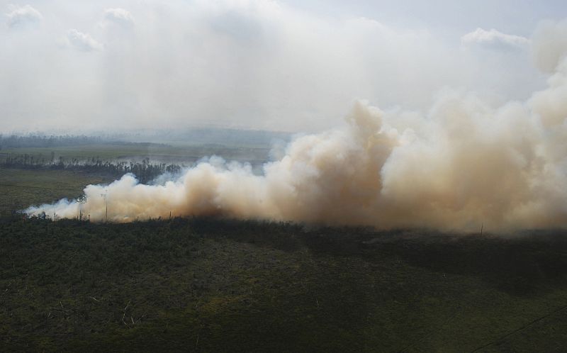 Indonesia puede experimentar más graves incendios forestales