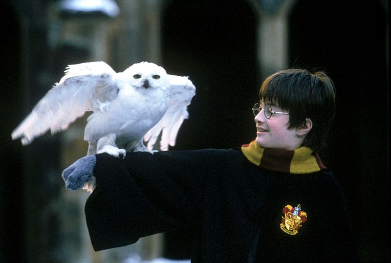 Comienzan las aventuras de Harry