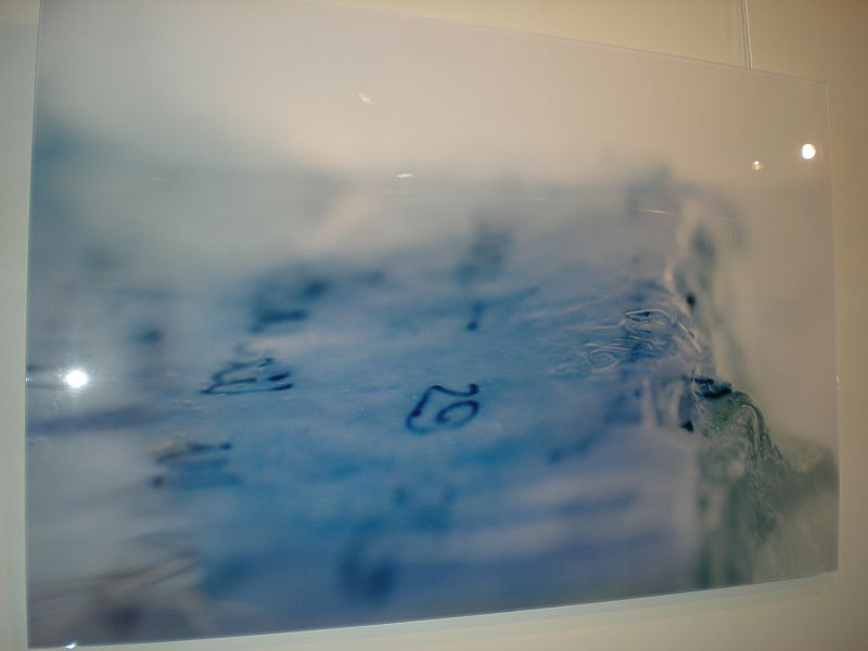 Artenavas 2009