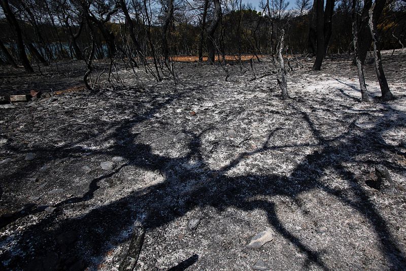INCENDIOS EN GRECIA