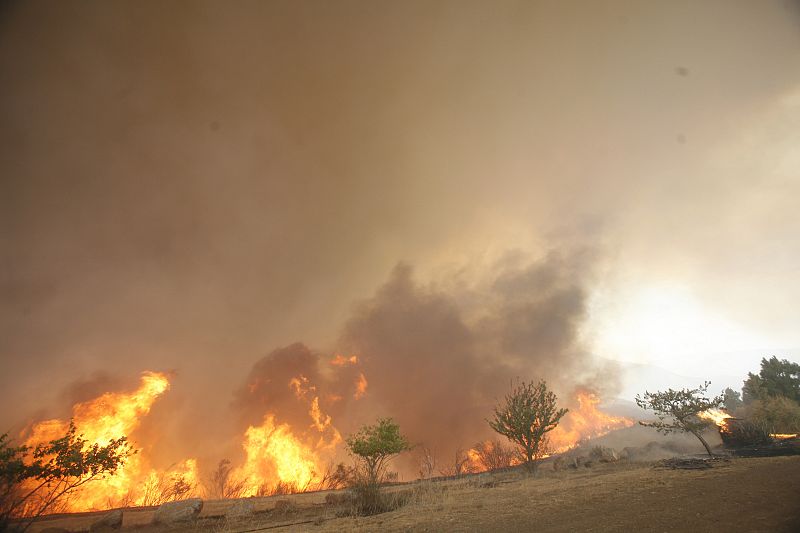 Bushes burn during the Station fire in the Acton area of Los Angeles