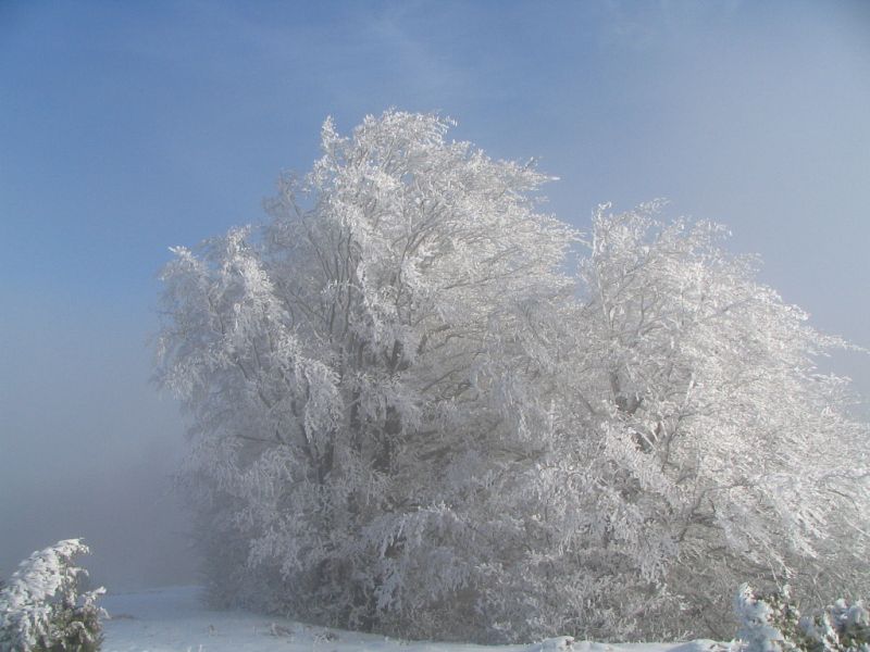 Nevada en Puigsacalm, Girona