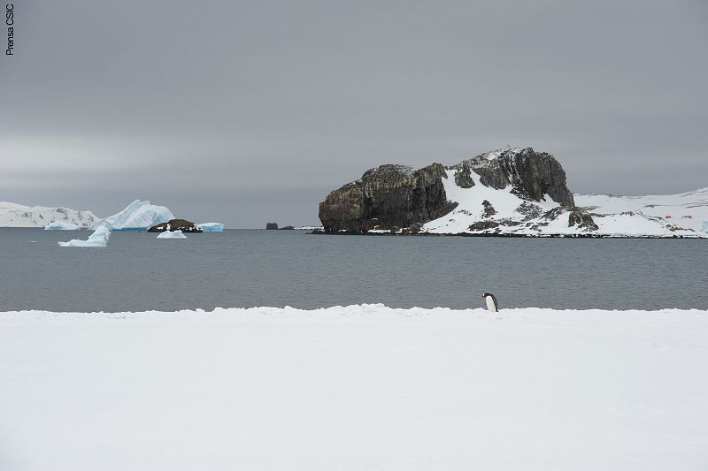 El cambio climático es una realidad y para prever cómo reaccionará el hielo del casquete polar antártico en el futuro es necesario saber cómo lo hizo en otros momentos de la historia.