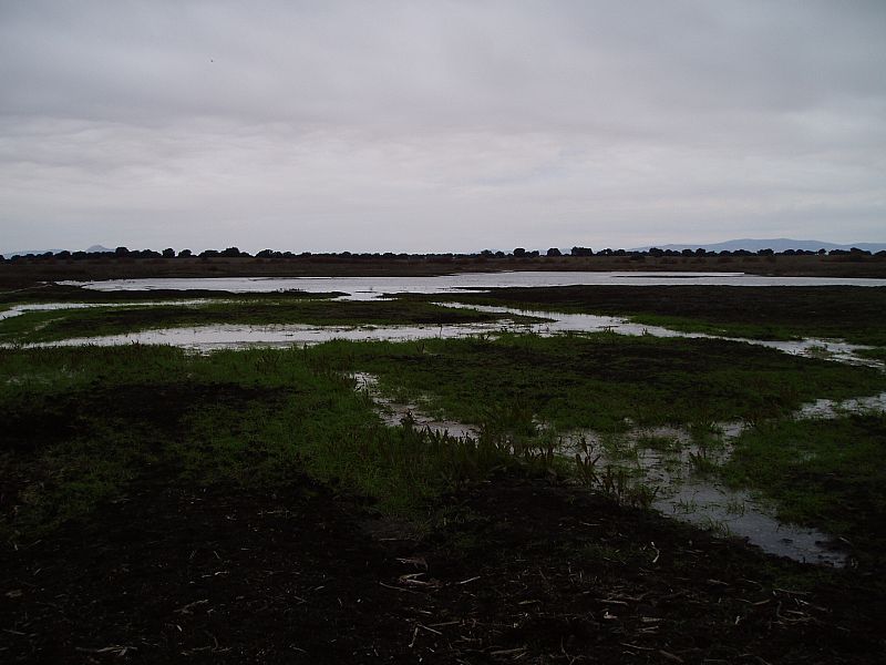 La zona cero