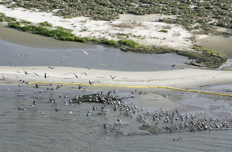 La mancha amenaza a cuatro estados más de la costa estadounidense