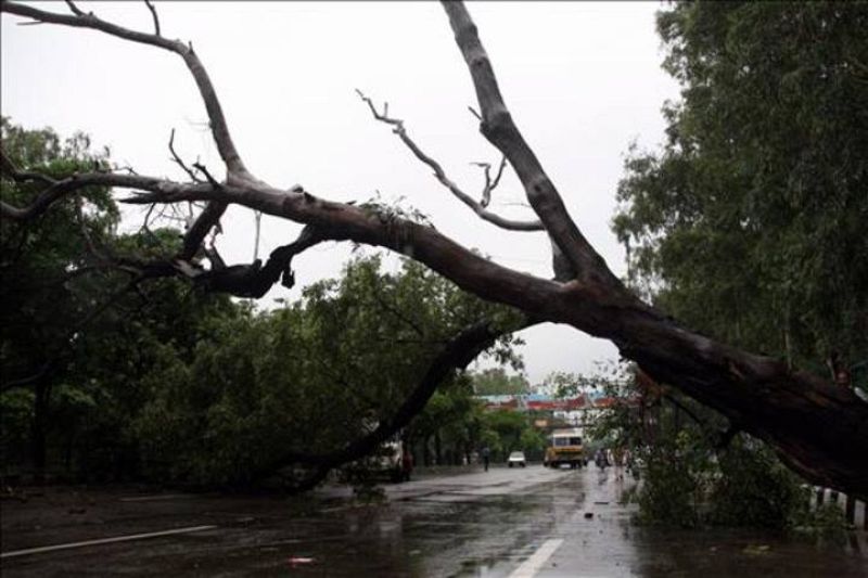 Árbol caído sobre la carretera durante las fuertes lluvias ocurridas en la ciudad india de Jammu en Cachemira.
