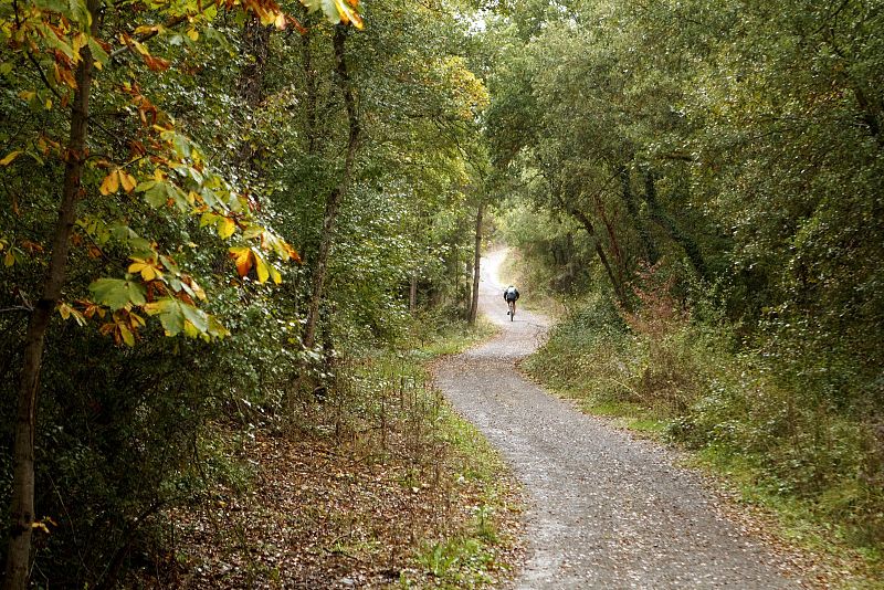 LA CE ELIGE A VITORIA COMO CAPITAL VERDE EUROPEA PARA 2012