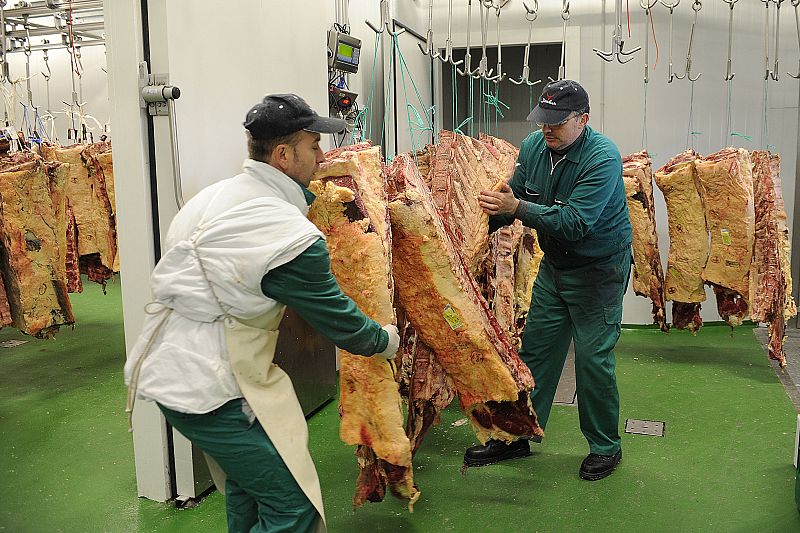 Carne