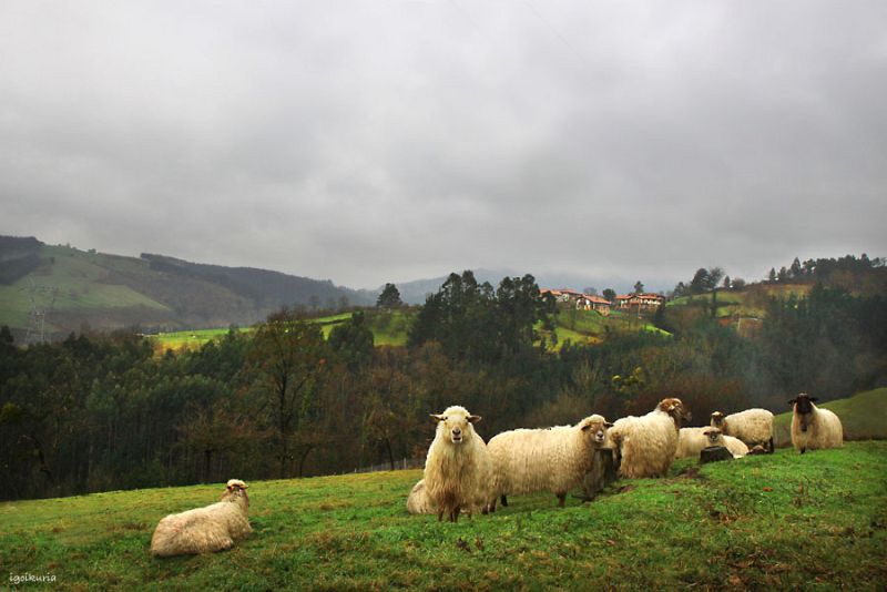 En Arrigorriaga (Vizcaya) la mañana también ha comenzado con nubes y lloviznas.
