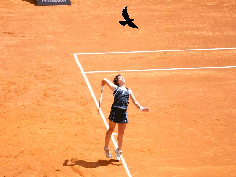 Foto de Carla peleándose con un pájaro en la Central del Madrid Open.