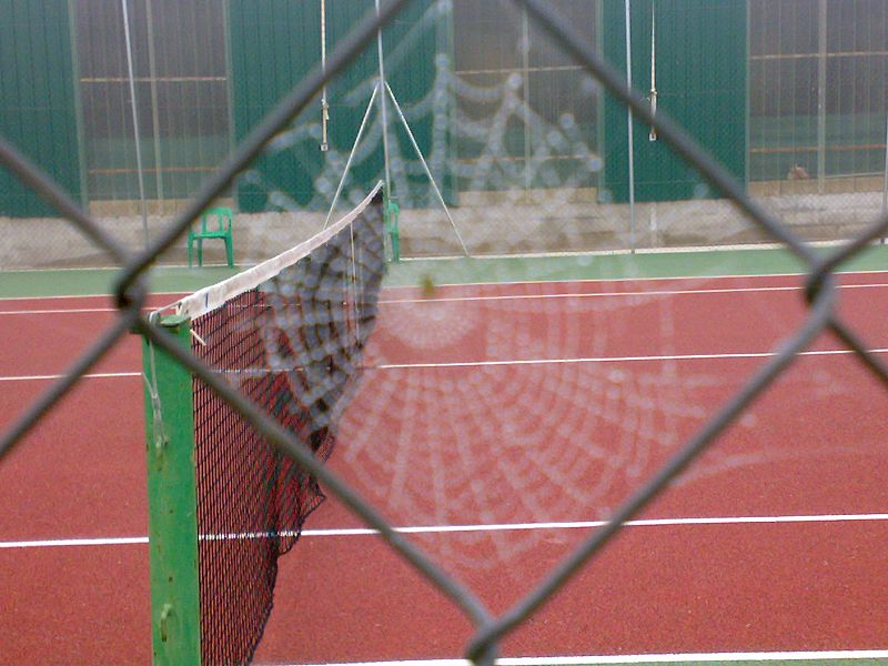 Manda tu mejor foto de tenis.