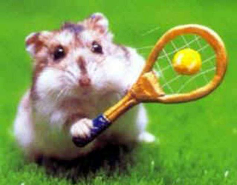 Manda tu mejor foto de tenis.