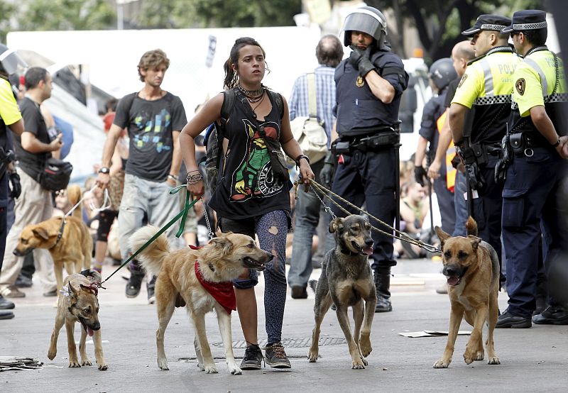 CRISIS PROTESTAS