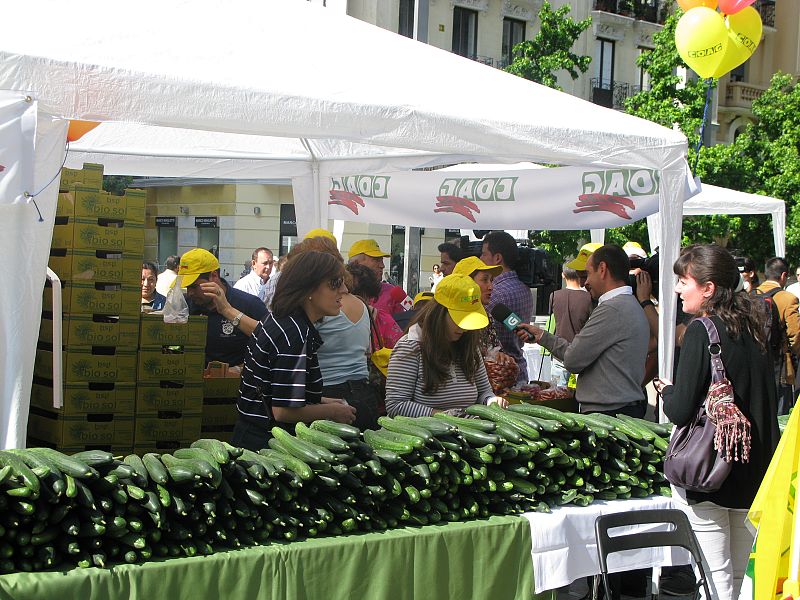 Los productores de pepino son los que más están sufriendo esta crisis