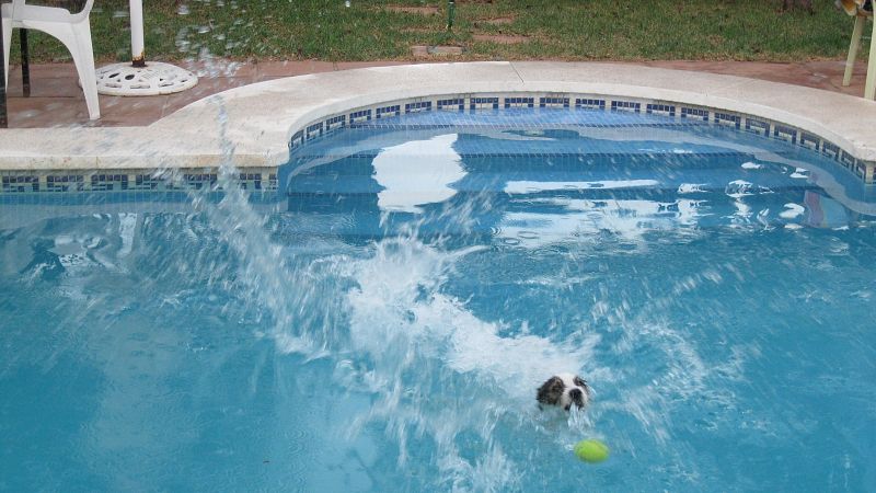 Como Nadal, Pancho no da una pelota por perdida.