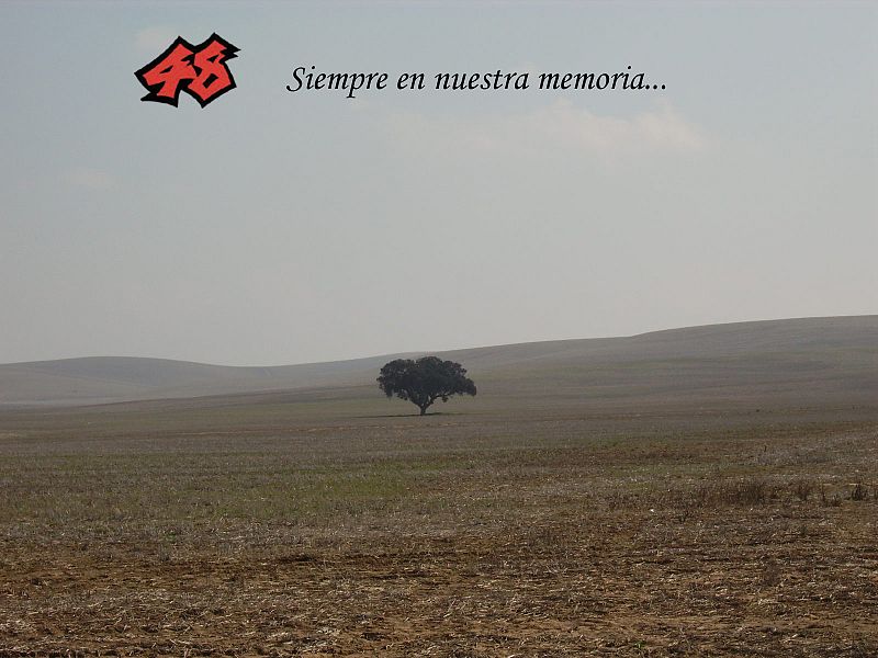 Consigue uno de los 5 tapices homenaje a Tomizawa
