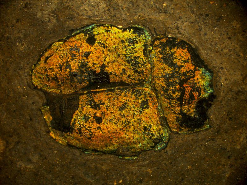 Messel 1