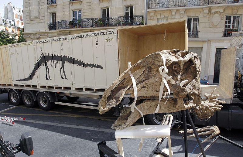 FRANCE-PALEONTOLOGY-DINOSAUR-AUCTION-FILES