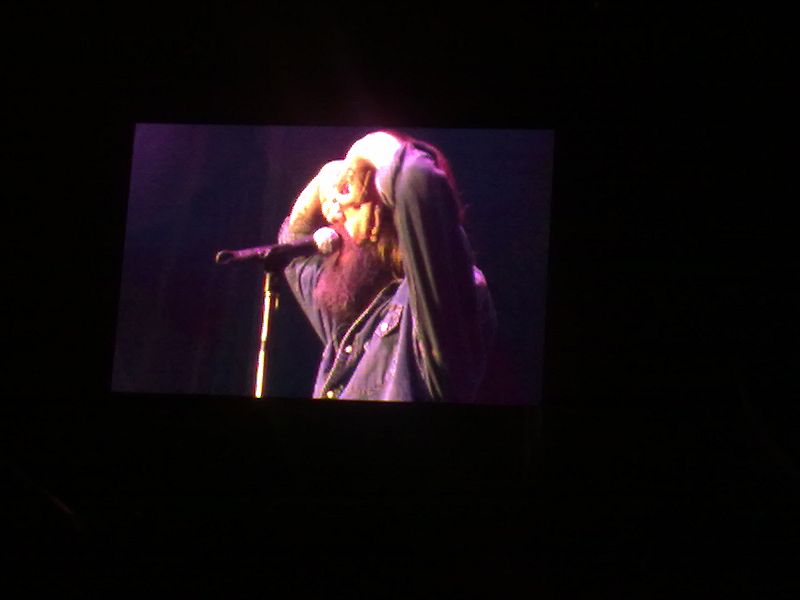 The black crowes
