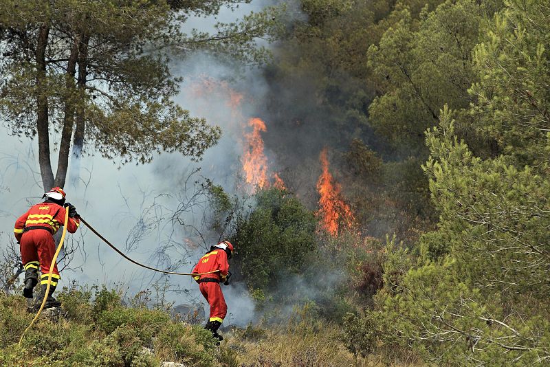 INCENDIO FORESTAL