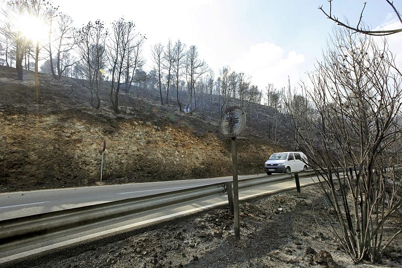 INCENDIO FORESTAL EN CORTES DE PALLÁS, VALENCIA