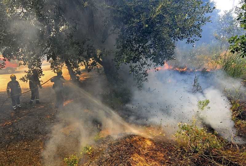 INCENDIO FORESTAL LA JONQUERA (GIRONA)