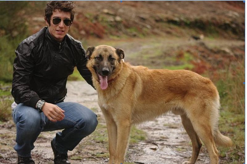 Mi 2012: Frodo