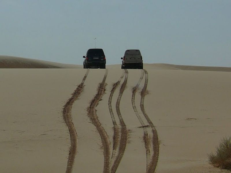 Roderas en Libia..