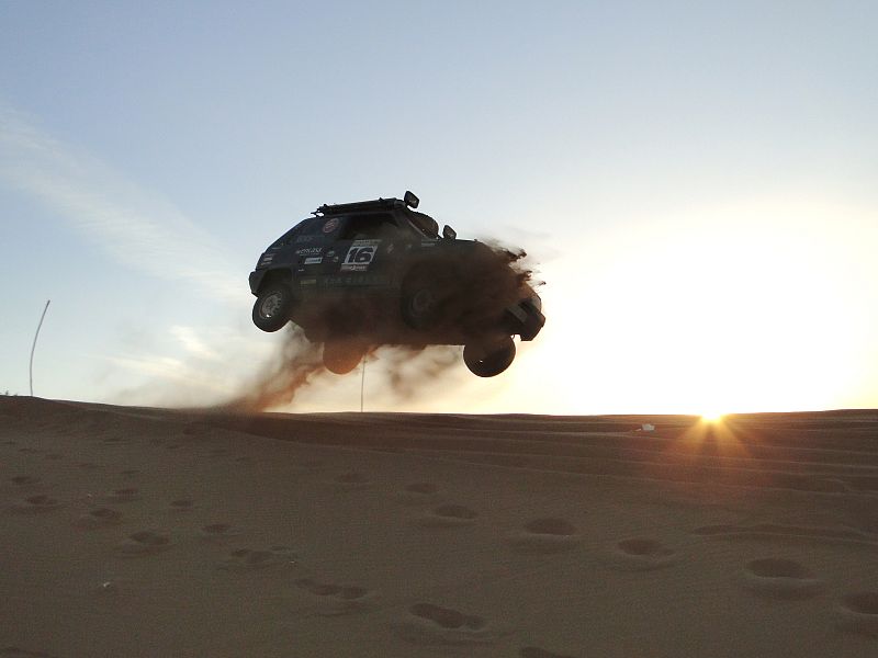 Panda Raid 2011