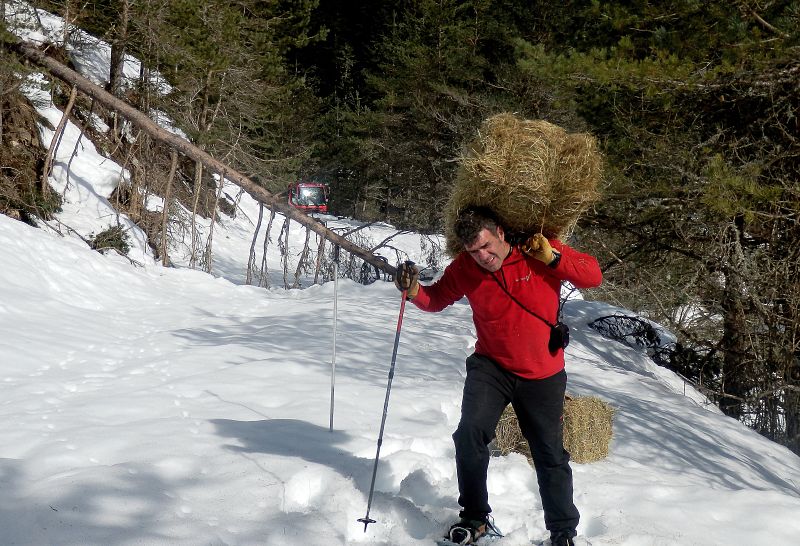 NIEVE EN NAVARRA