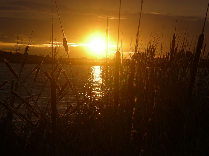 Puesta de sol en Daimiel