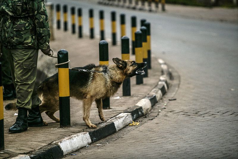 Las fuerzas de seguridad keniatas emplean perros adiestrados para liberar a los rehenes