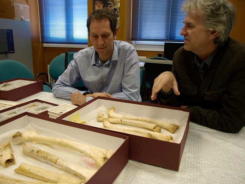 Matthias Meyer y Juan Luis Arsuaga comentando las características únicas de los fósiles de diferentes homininos de la Sima de los Huesos.