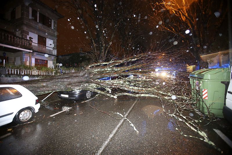 MÁS DE 300 INCIDENCIAS POR EL TEMPORAL EN GALICIA LA PASADA NOCHE
