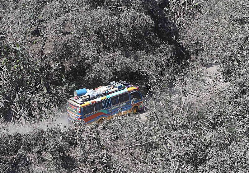 Un autobus transporta a vecinos evacuados entre los árboles cubiertos de ceniza