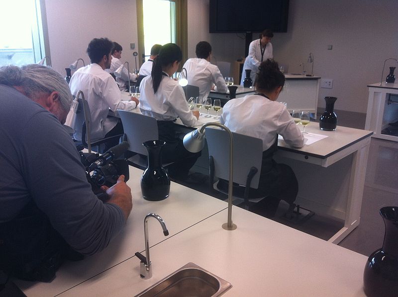 Taller de cata de vinos