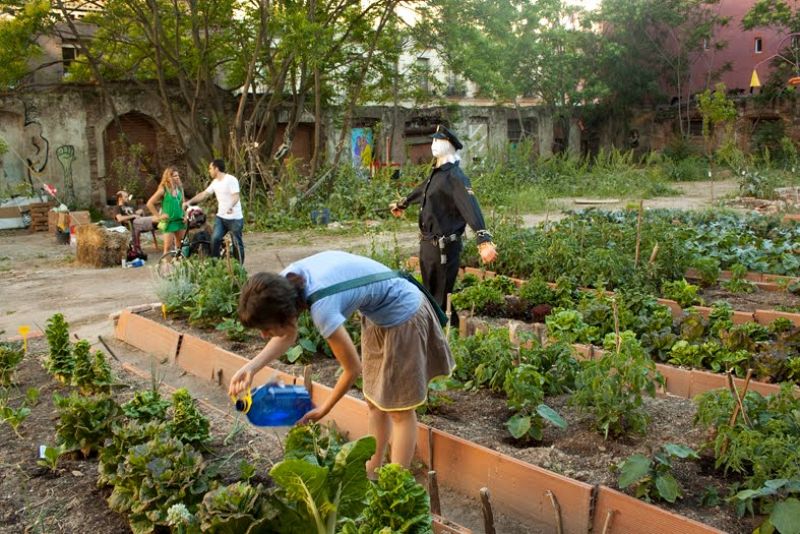 Un vecino riega las plantas de 'Esta es una plaza'  que custodia un espantapájaros.