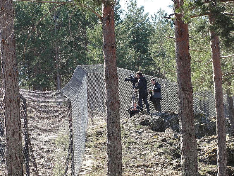 En las instalaciones del Centro Temático del Lobo en Robledo de Sanabria