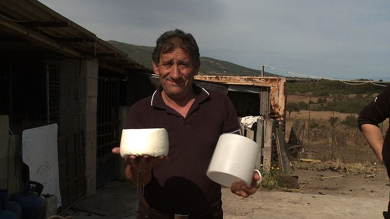 Queso de pastor