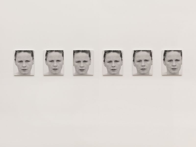 Roni Horn, "You are the Weather, Part 2" (2011)