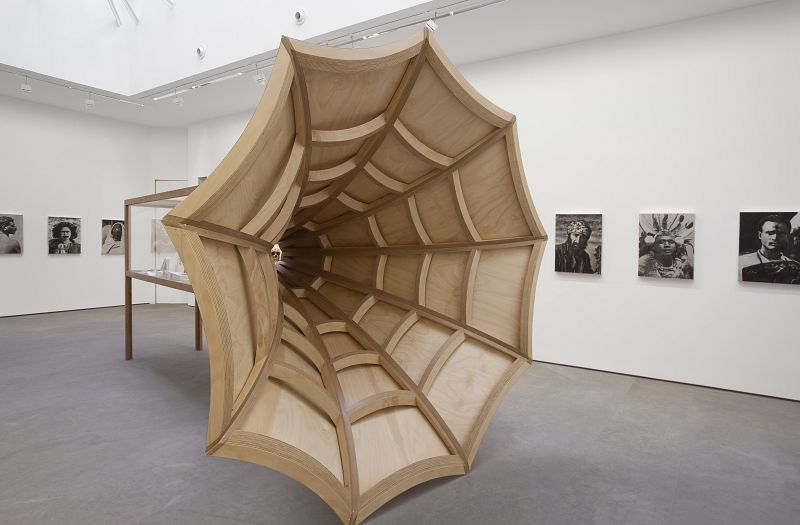 Brook Andrew, "Anatomía de la memoria del cuerpo: Más allá de Tasmania" (2013)
