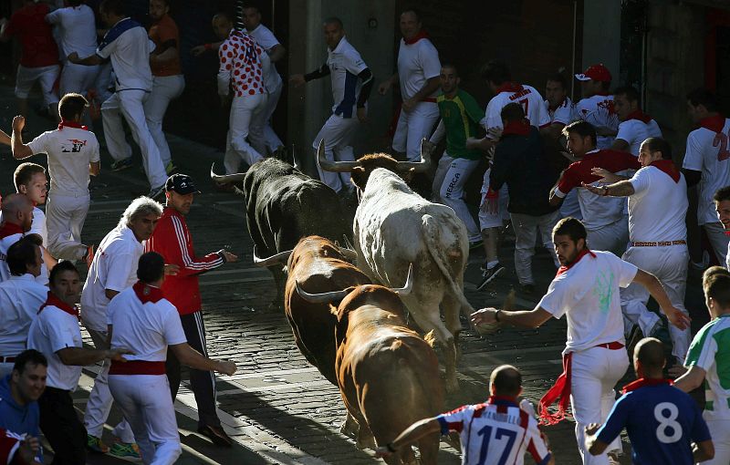 Tres toros castaños de Fuente Ymbro llegan al coso pamplonés.
