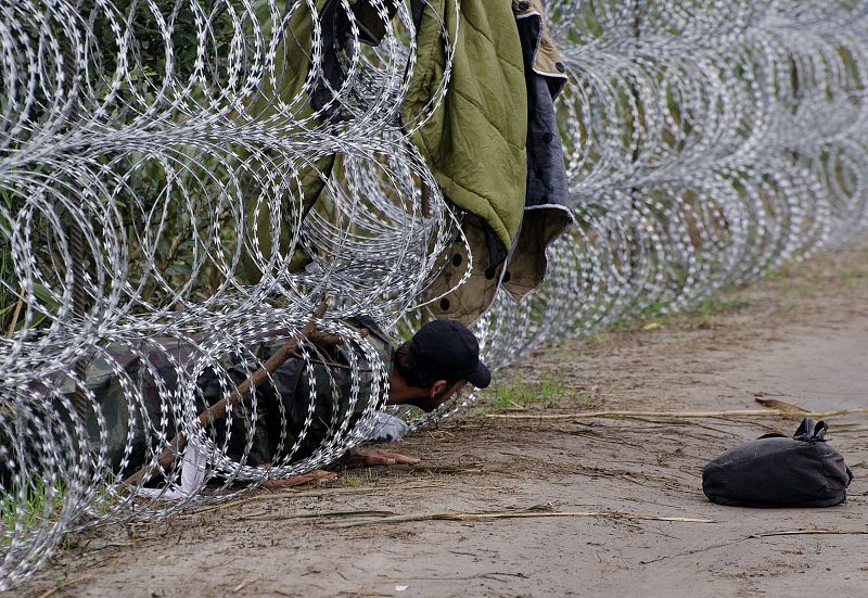 Un migrante repta bajo una alambrada cerca de la localidad húngara de Roszke, en la frontera con Serbia