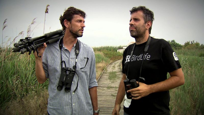 Mario Giménez y Pablo Vera, biólogos de SEO birdlife en Valencia
