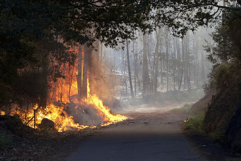 En Soutomaio, en Pontevedra, hay dos incendios activos con nivel 2